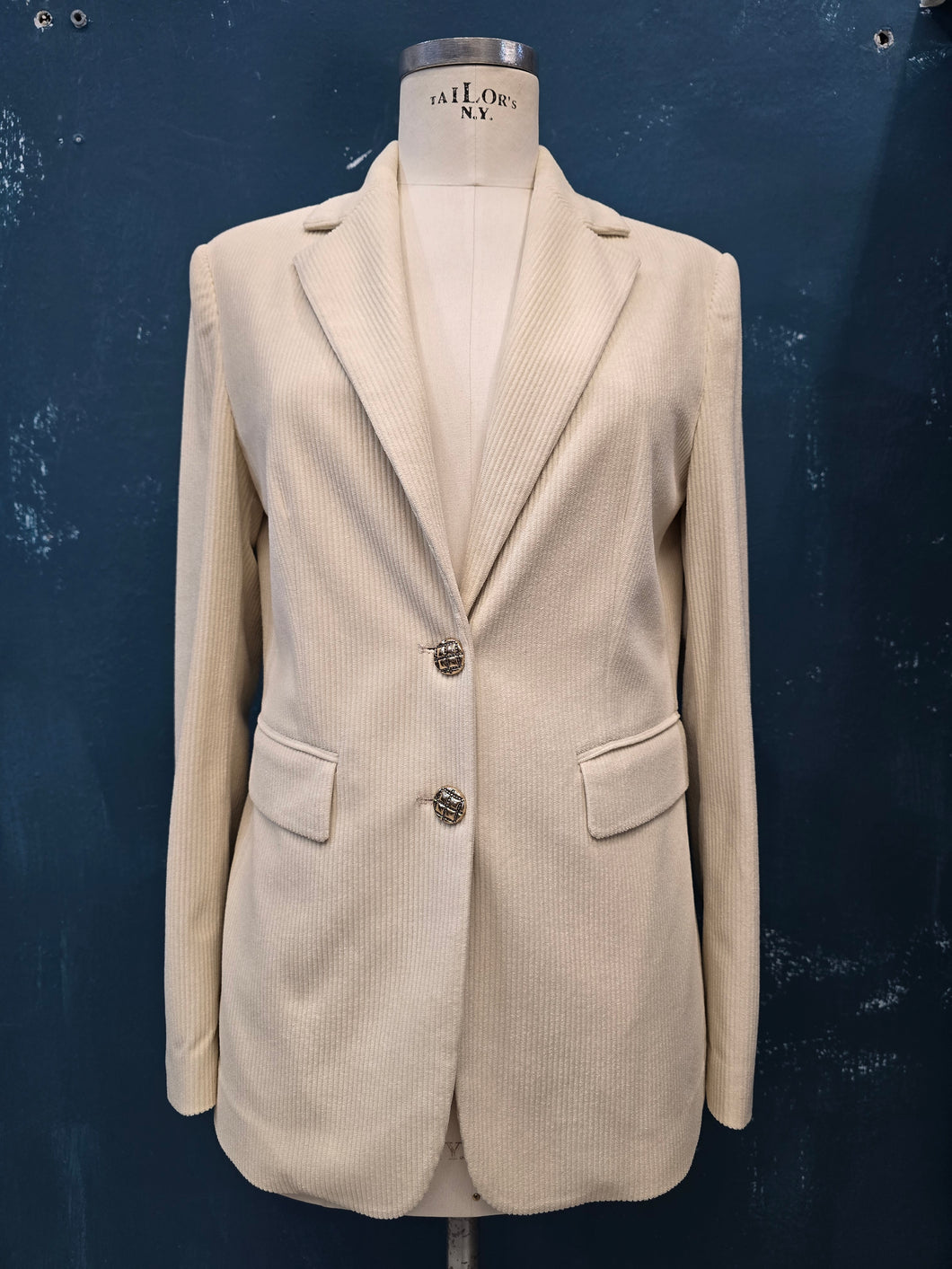 Blazer velluto